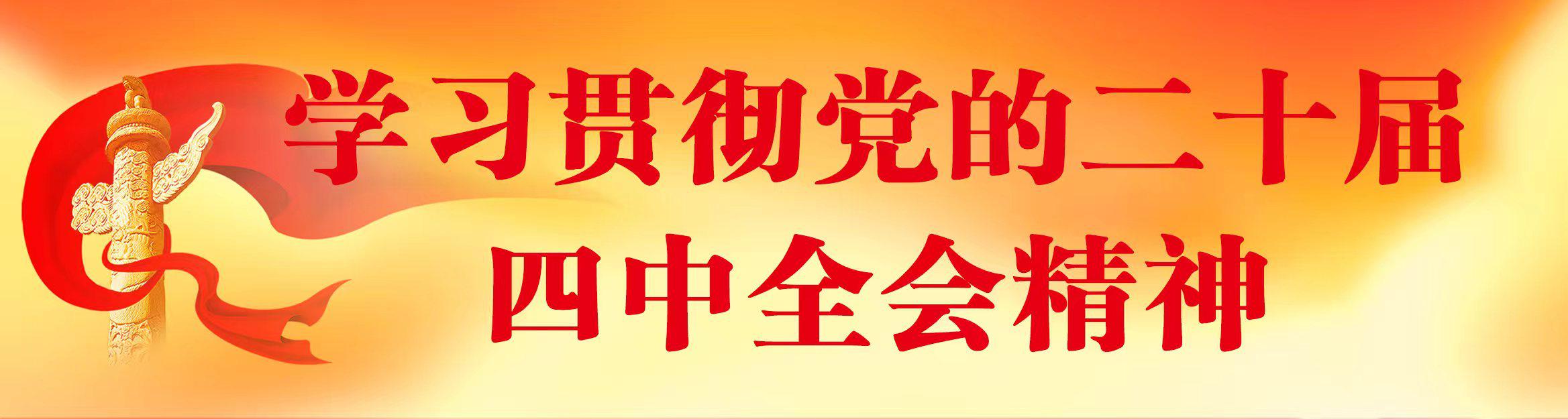 学习贯彻党的二十届四中全会精神