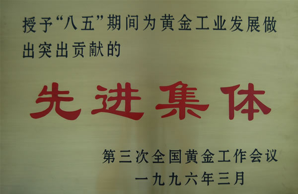 黄金工作会议先进集体